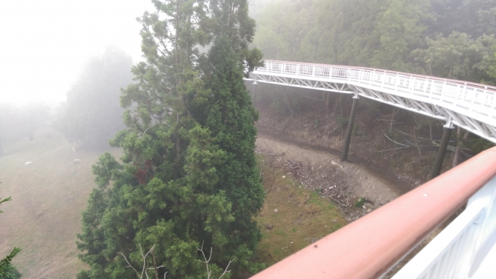 清境  高空步道  賞景遊