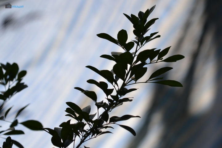 TAMRON 試鏡會 B023新款10-24mm f/3.5-4.5
