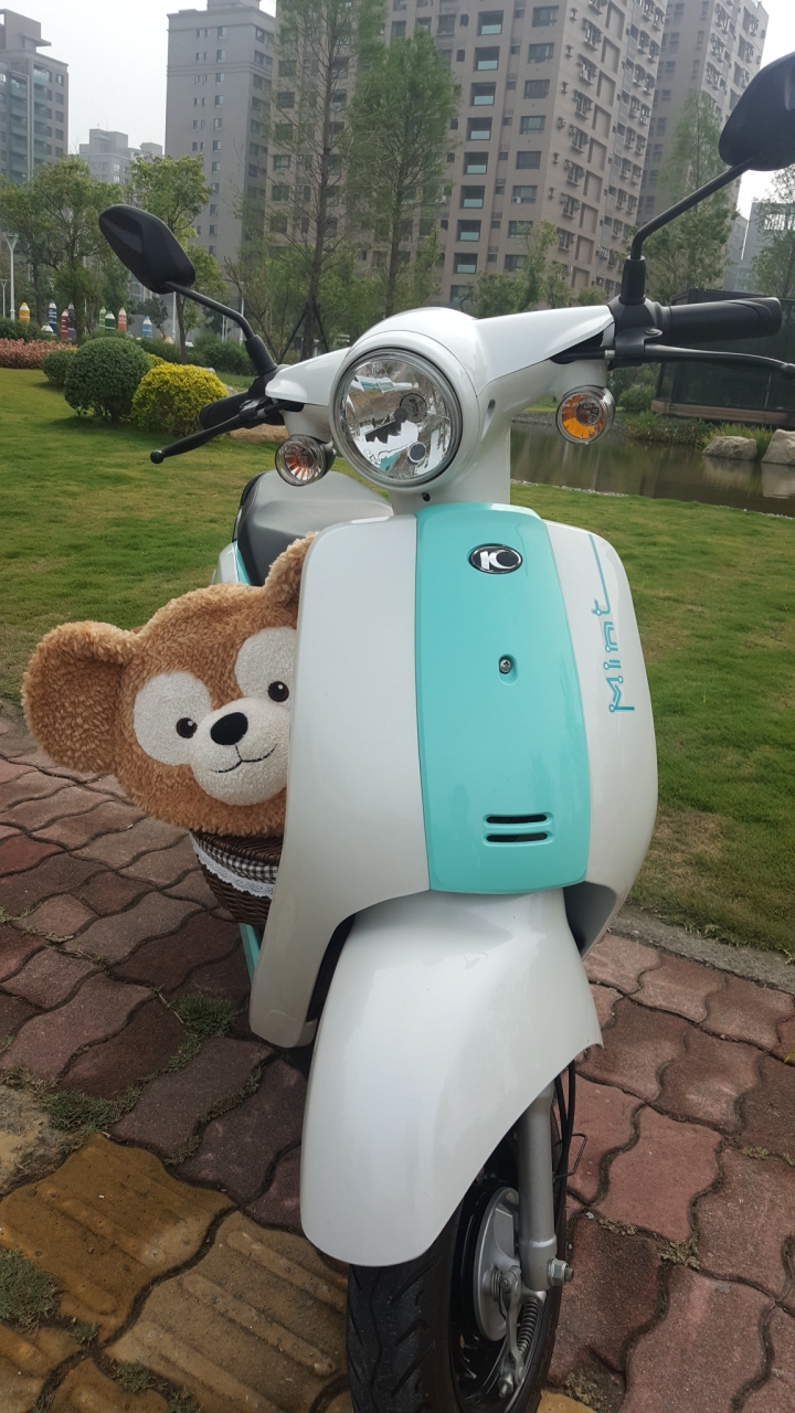 [開箱] MINT電動自行車 (我的小綠綠)