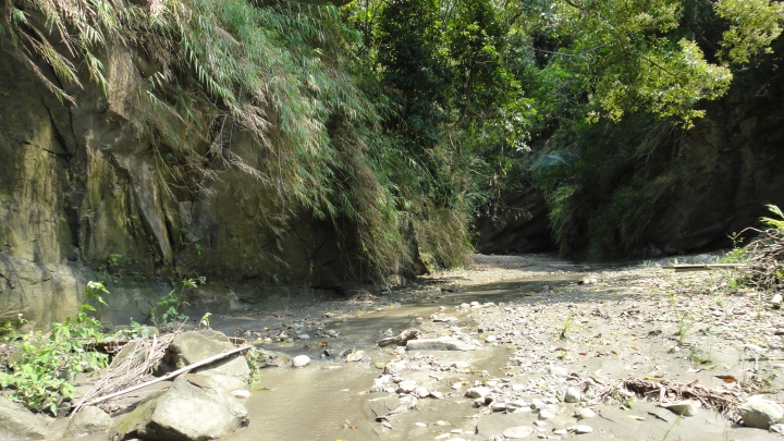 「神鵝瞎旅」霧峰山南山北走一回 之 南段 上集[往條子杯杯打槍的地方走]