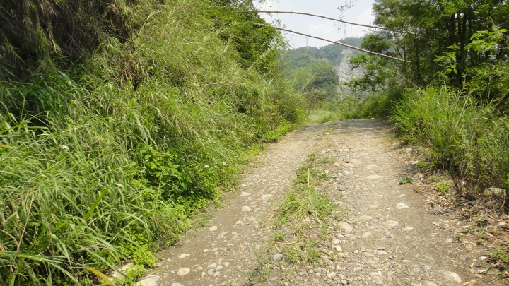 「神鵝瞎旅」霧峰山南山北走一回 之 南段 上集[往條子杯杯打槍的地方走]