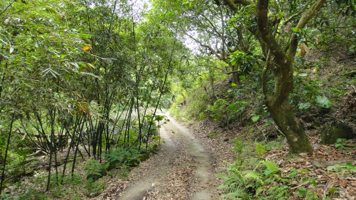 「神鵝瞎旅」霧峰山南山北走一回 之北段 上集 [蟲、魚、鱉、鳥的自然生態之旅]