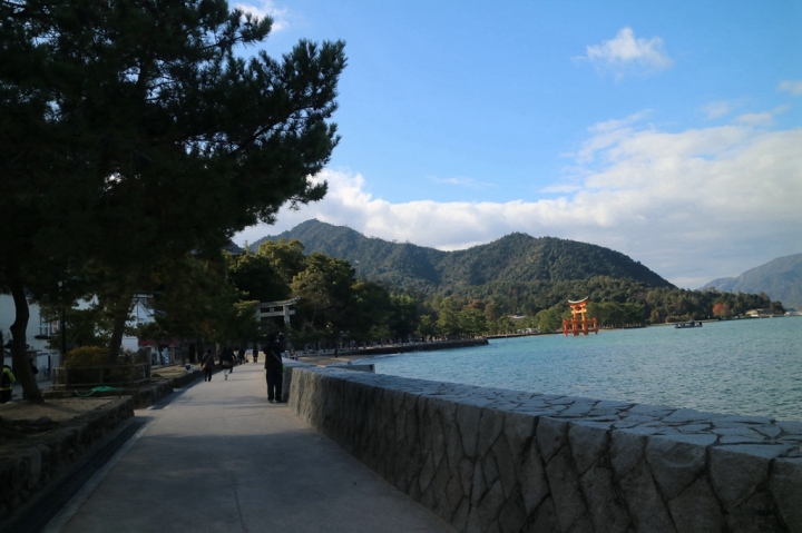 【遊。2016宮島】日本三景之一宮島 建立於海上的世界遺產嚴島神社