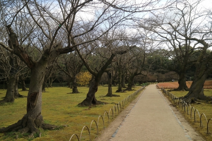【遊。2016岡山】日本三大名園之一  岡山後樂園