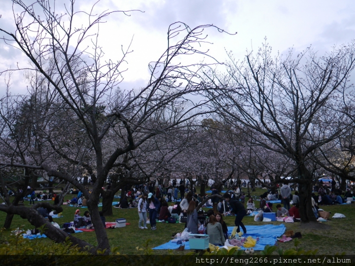 【日本靜岡】花見靜岡祭&駿府城公園