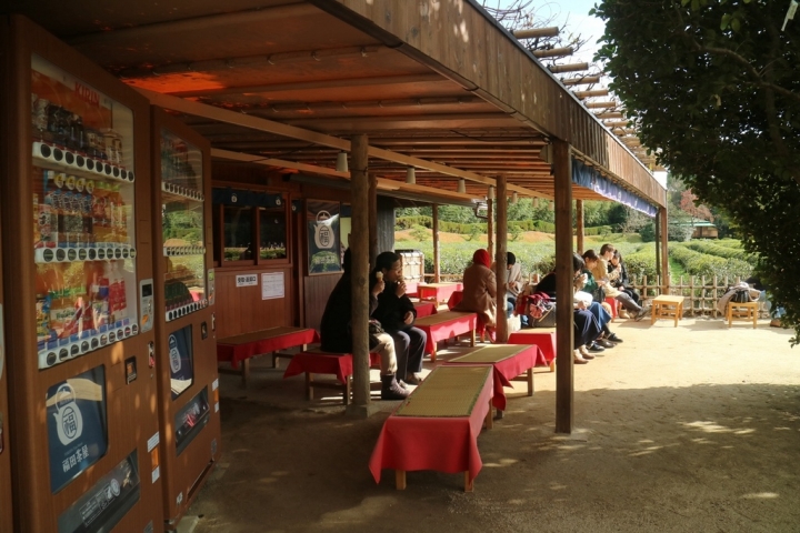 【遊。2016岡山】日本三大名園之一  岡山後樂園