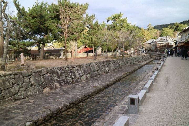 【遊。2016宮島】日本三景之一宮島 建立於海上的世界遺產嚴島神社