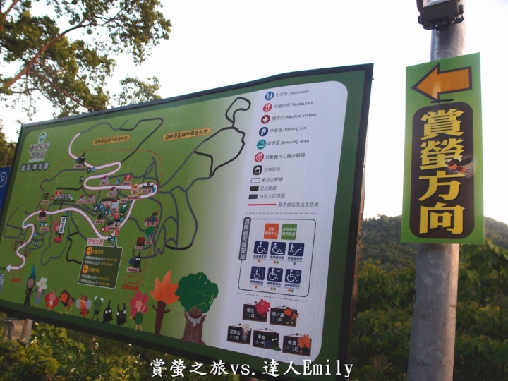【台中旅遊】2017東勢林場花現螢火蟲+豐原廟東夜市精華小吃推薦