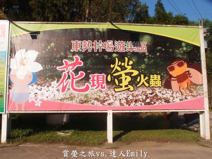 【台中旅遊】2017東勢林場花現螢火蟲+豐原廟東夜市精華小吃推薦