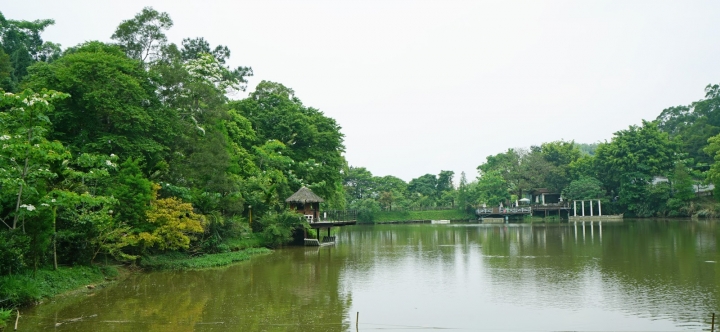 新竹縣。峨眉鄉十二寮。油桐花季、私房景點--露營、賞螢火蟲、客家美食、溜小孩好去處!