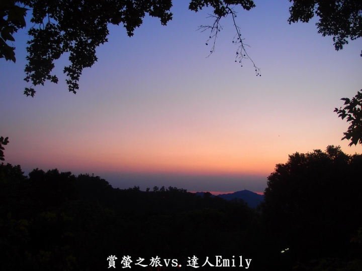 【台中旅遊】2017東勢林場花現螢火蟲+豐原廟東夜市精華小吃推薦