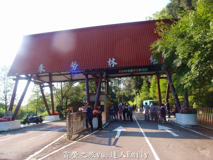【台中旅遊】2017東勢林場花現螢火蟲+豐原廟東夜市精華小吃推薦