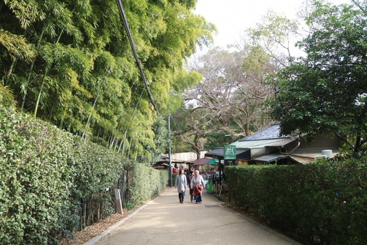 【遊。2016岡山】日本三大名園之一  岡山後樂園