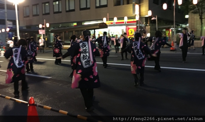 【日本靜岡】花見靜岡祭&駿府城公園