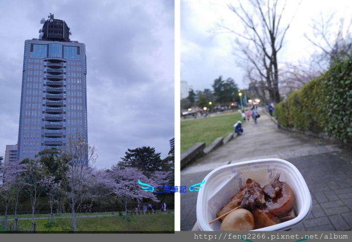 【日本靜岡】花見靜岡祭&駿府城公園