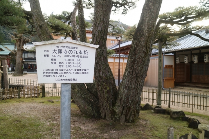 【遊。2016宮島】日本三景之一宮島 建立於海上的世界遺產嚴島神社