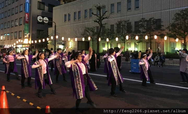 【日本靜岡】花見靜岡祭&駿府城公園