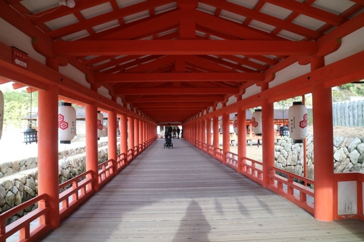 【遊。2016宮島】日本三景之一宮島 建立於海上的世界遺產嚴島神社