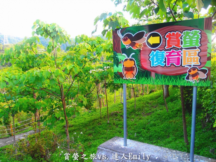【台中旅遊】2017東勢林場花現螢火蟲+豐原廟東夜市精華小吃推薦