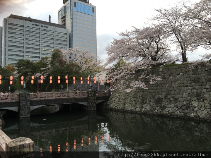【日本靜岡】花見靜岡祭&駿府城公園