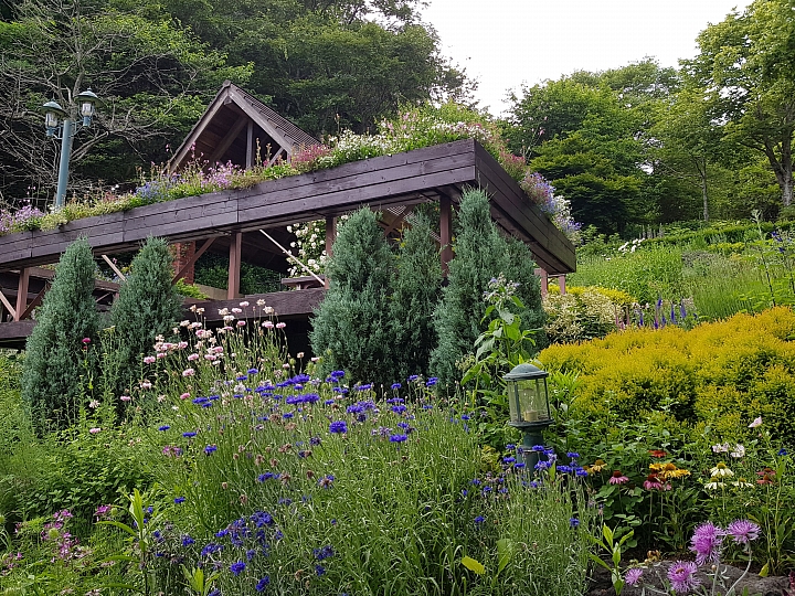 三星 S8 / S8+ 日本 關西 實拍 遊記分享 (圖多 * 無字)