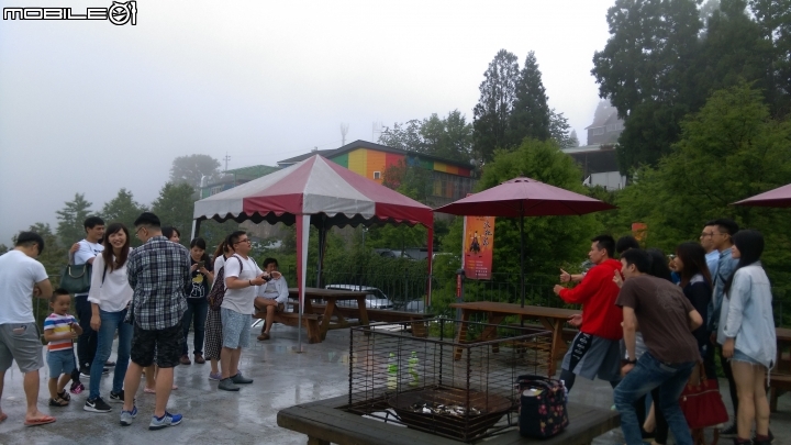 清境  魯媽媽雲南料理分享
