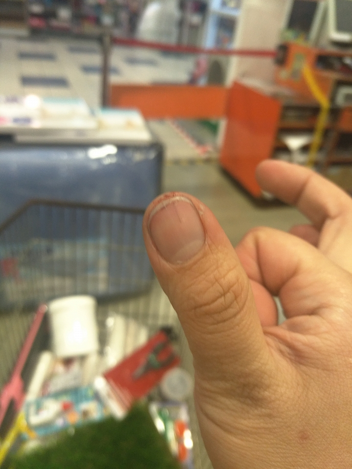在特力屋逛，拿貨品要看，被刺傷