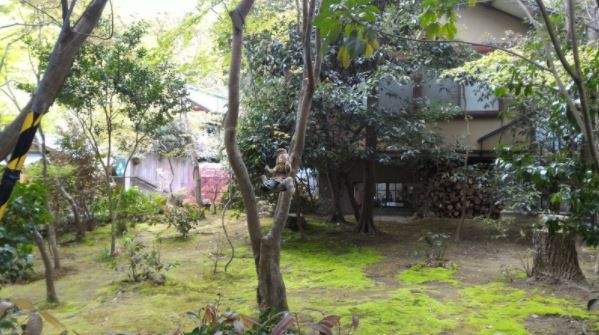 來自京都的一見鍾情