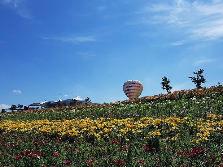 三星 S8 / S8+ 日本 關西 實拍 遊記分享 (圖多 * 無字)