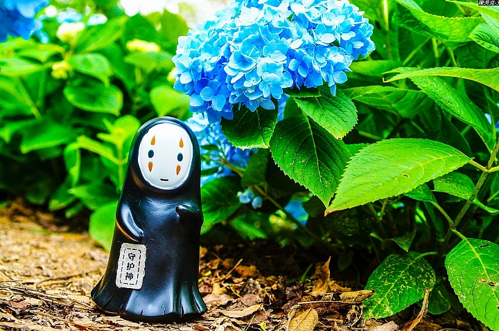 (第104批) LG G / V class 日夜拍研究團 精選作品2017.6.18