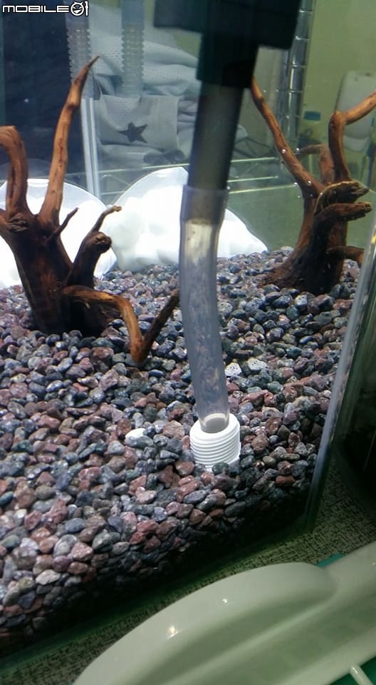 心得我的魚缸 2個外掛過濾+自己連接浪板 麥飯石與生化環