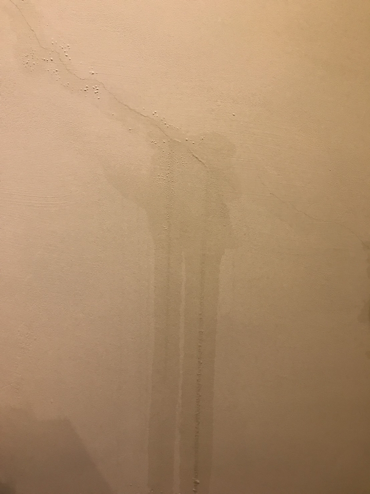 惠宇建設的建案牆壁滲水