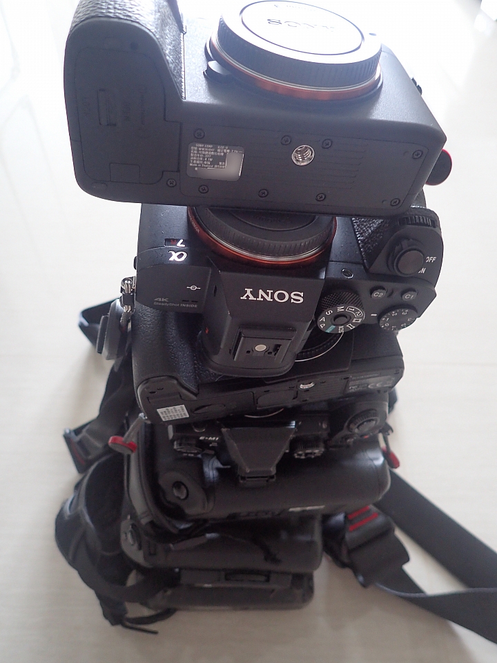 Sony A9傳統開箱