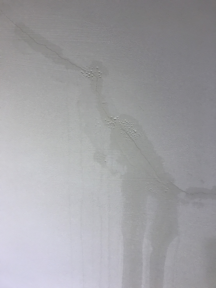 惠宇建設的建案牆壁滲水