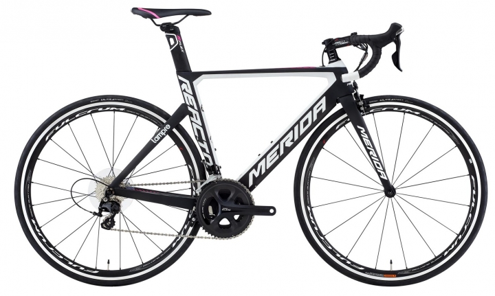 Propel ADVANCED 1+  VS.  REACTO 購車