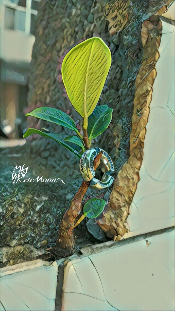 Ewin 創物-迴