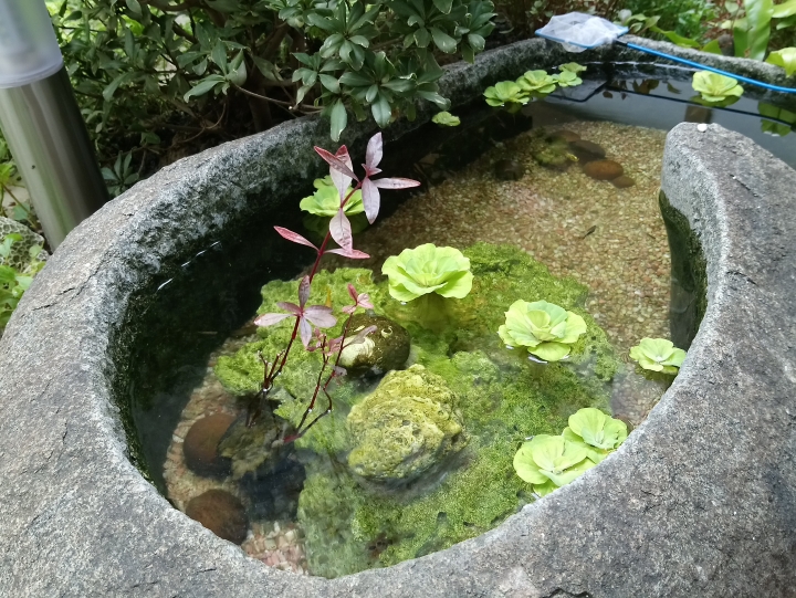 【開箱】台中_40年雙院老宅X復古工業混搭風(7/10更新完成)