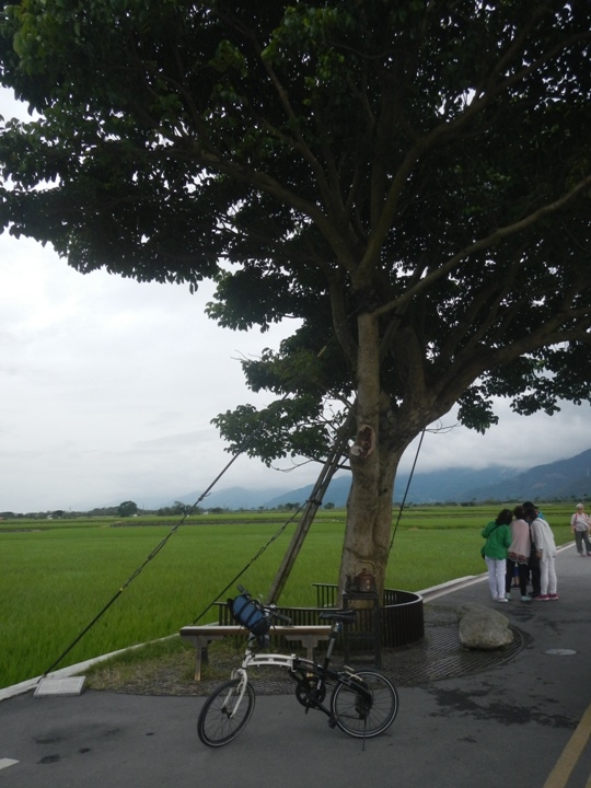 騎 上 一 個 人 的 池 上 天 堂 之 路