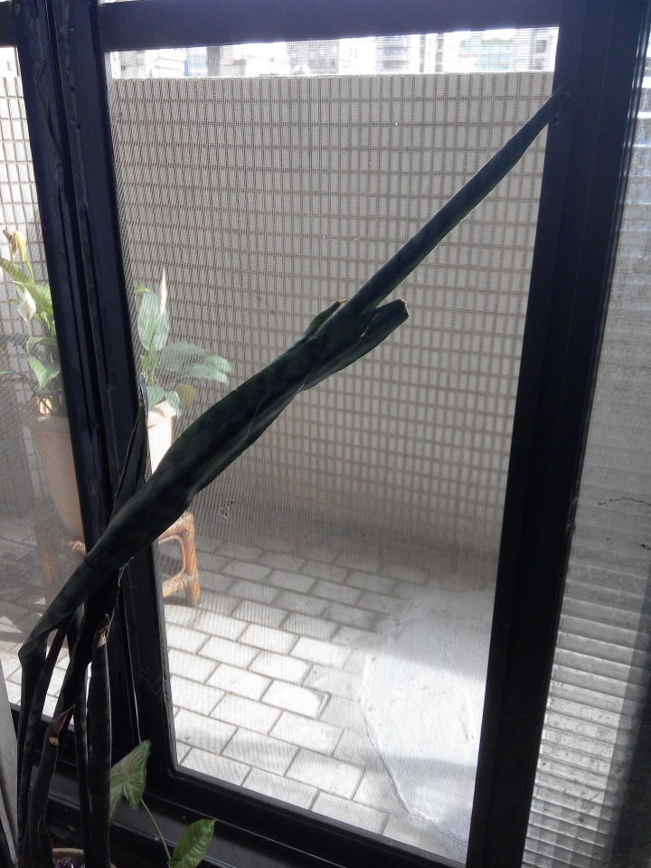 夏天-家的風向要怎麼用才會涼快點?