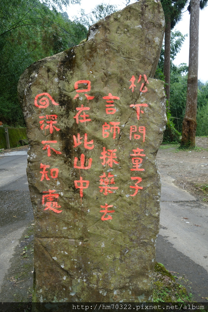 『嘉義遊記』-嘉義竹崎.龍雲休閒農場 / 櫻花季 / 阿里山 / 螢火蟲 / 清明連假 / 端午節連假