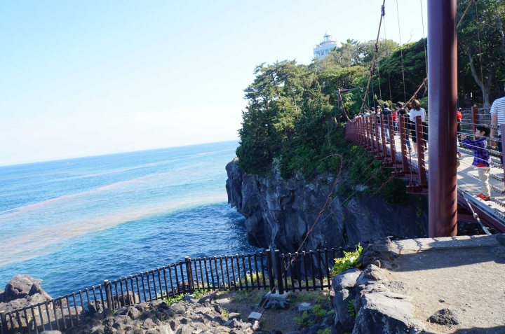伊東自然之旅 | 伊豆仙人掌公園、大室山、城崎海岸