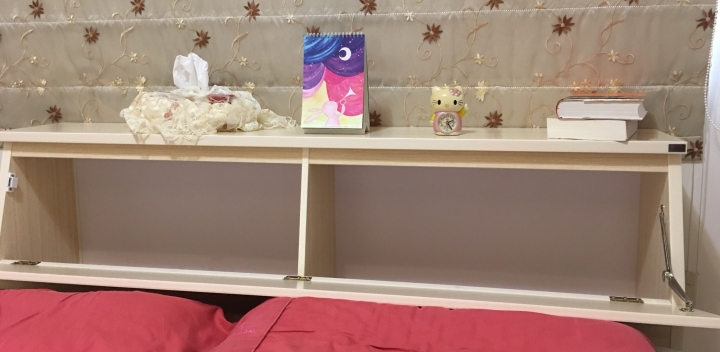開箱文 – 台北家福優彼南亞塑鋼家具