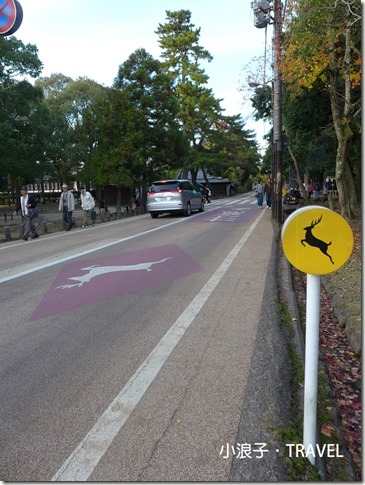 奈良【行程】奈良一日遊交通行程安排規劃- 懶人包一看就上手