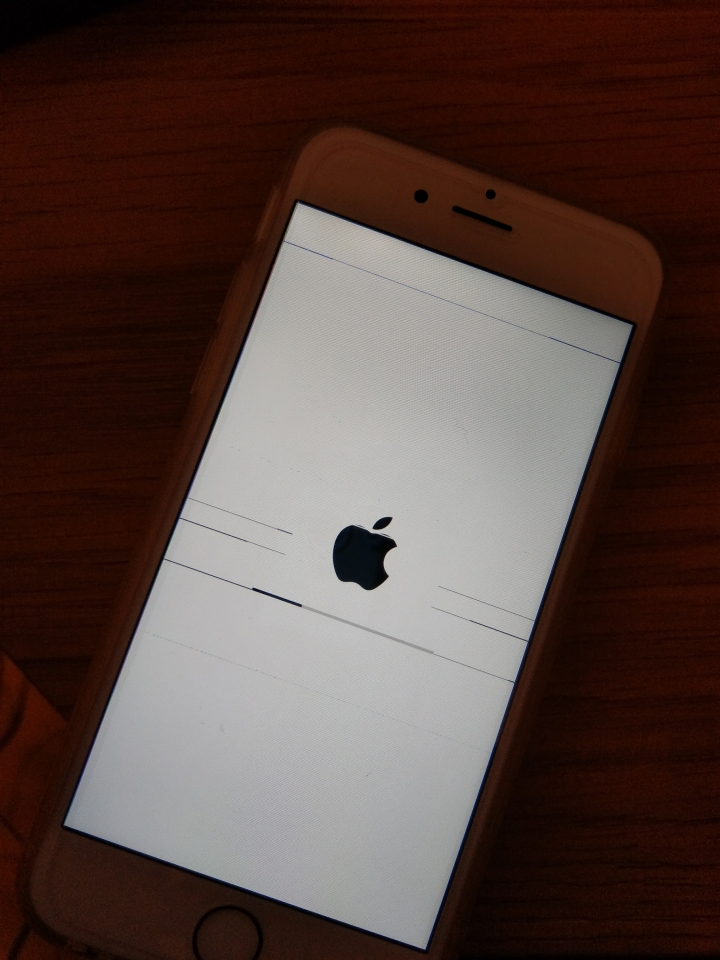 iphone 6 32g 白屏 求救!!!