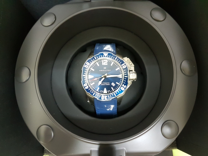 Blue Monday  Blue Frogman!