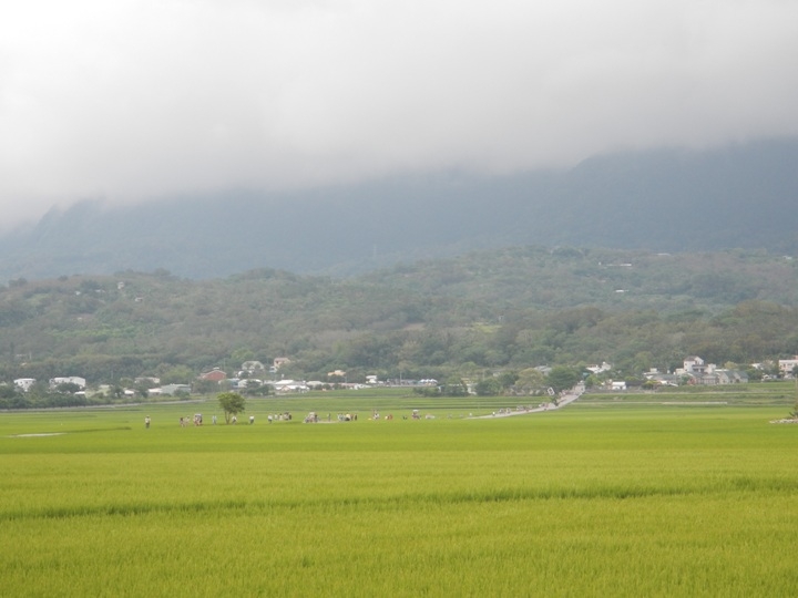 騎 上 一 個 人 的 池 上 天 堂 之 路