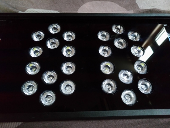 自己的魚缸 自己做 全套海水缸DIY (文長圖多)