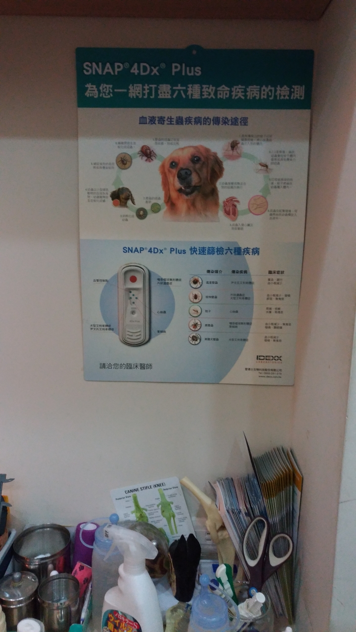 狗狗每年必打預防針&SNAP檢測