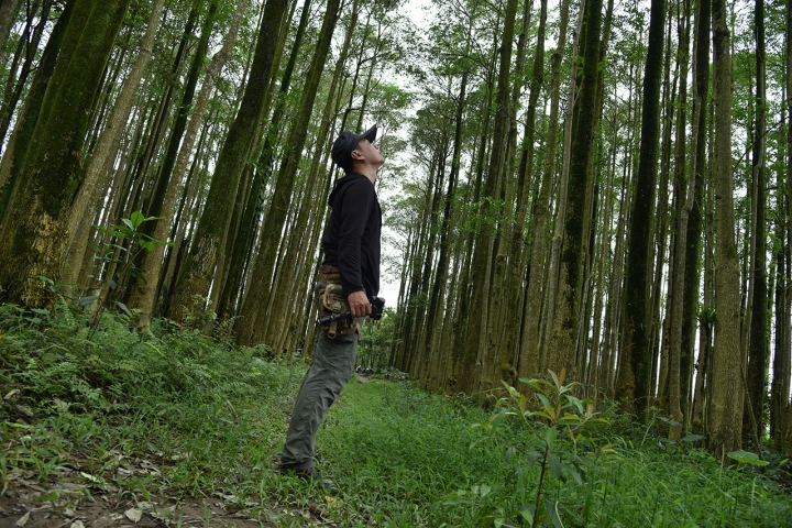 2017端午連假-風雨飄搖之環島紀行-Day1~2