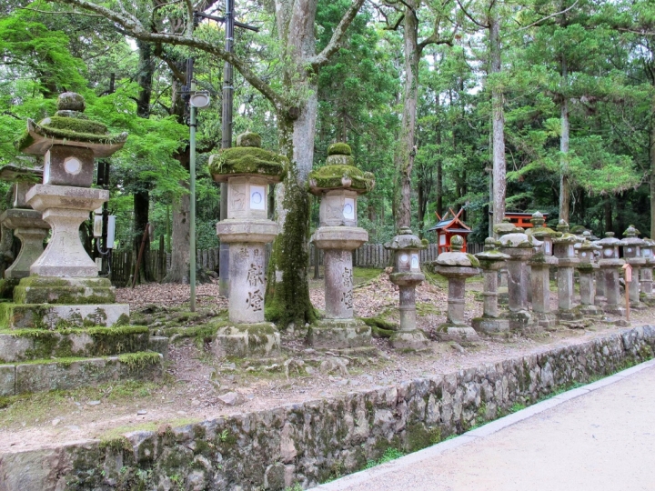 【Nara．走跳】春日大社萬燈籠群高高掛之奈良美食筆記